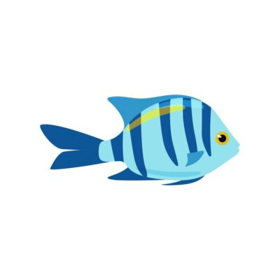 Seawater fish